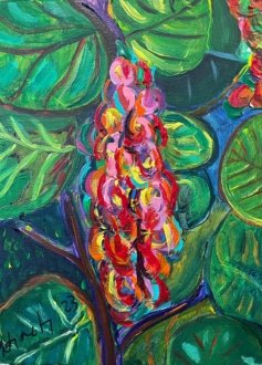 Sea_grapes_Vicente_Ydrach